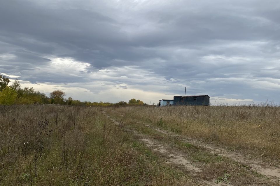 земля г Сосновоборск фото 3