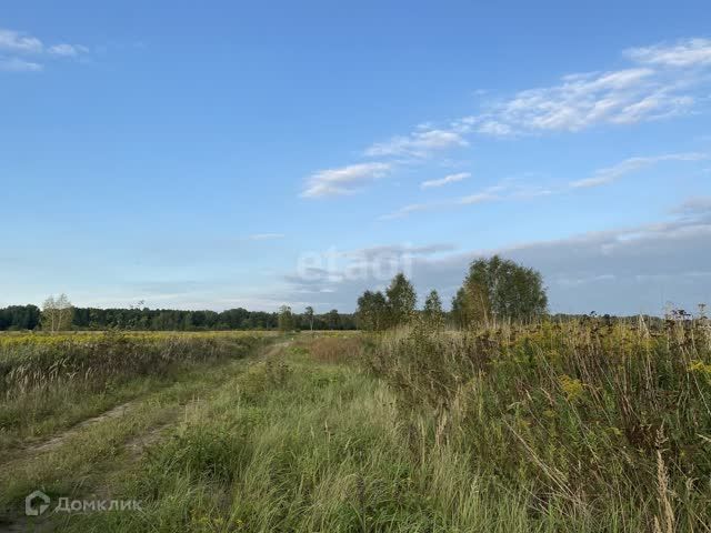 земля г Калининград ул Лунная городской округ Калининград фото 5