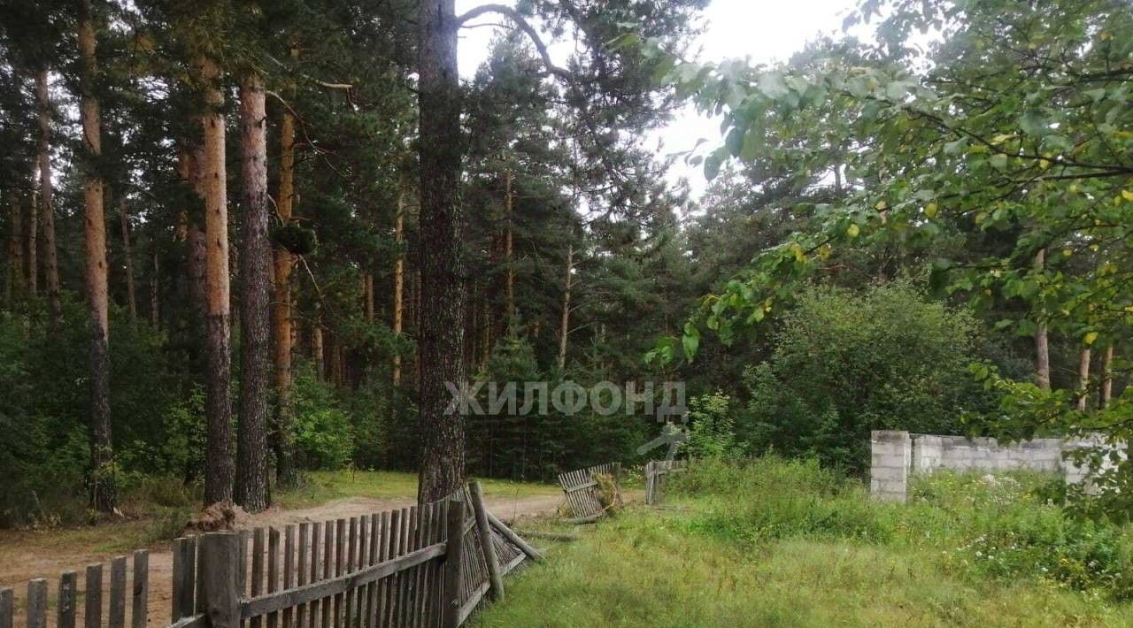 дом р-н Первомайский с Повалиха ул Боровая фото 8