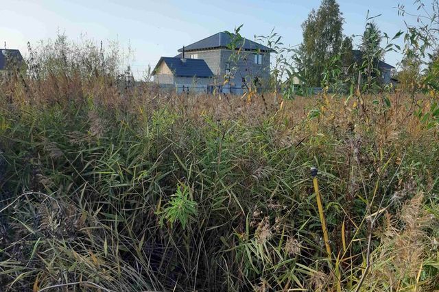 городской округ Тюмень, микрорайон Славянский фото