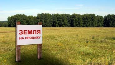 земля городской округ Октябрьский, садоводческое некоммерческое товарищество Ягодка фото