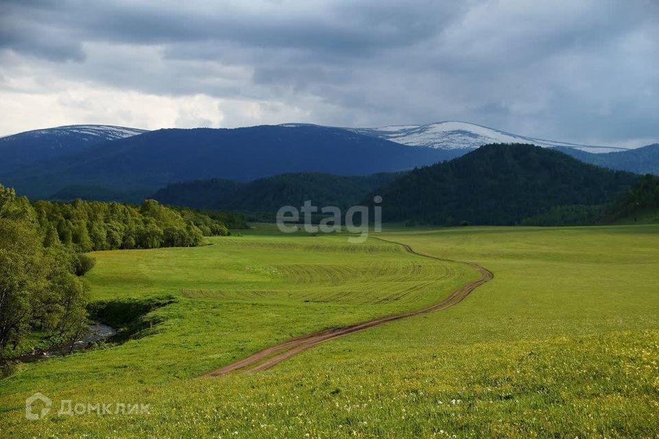 земля г Бийск фото 4