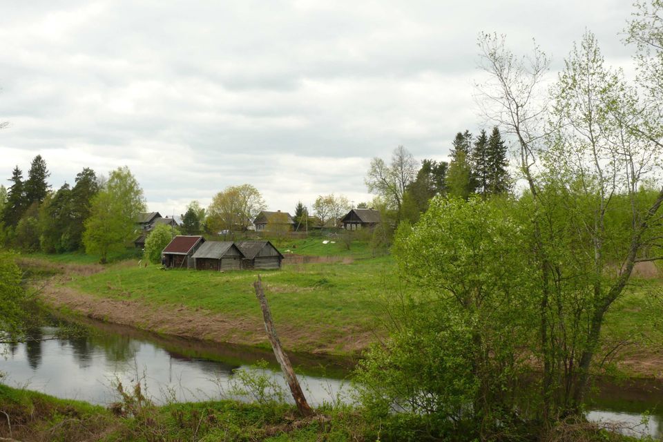 земля р-н Новгородский деревня Марково фото 3