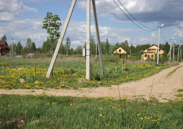 Заклинское сельское поселение, Луга фото