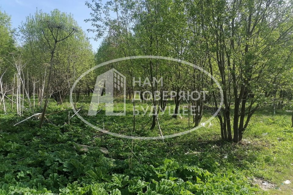 земля г Добрянка д Кулигино ул Камская 14 Добрянский городской округ фото 1