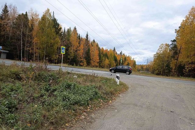 Новоуральский городской округ, коллективный сад Стройдеталь ЛТД фото