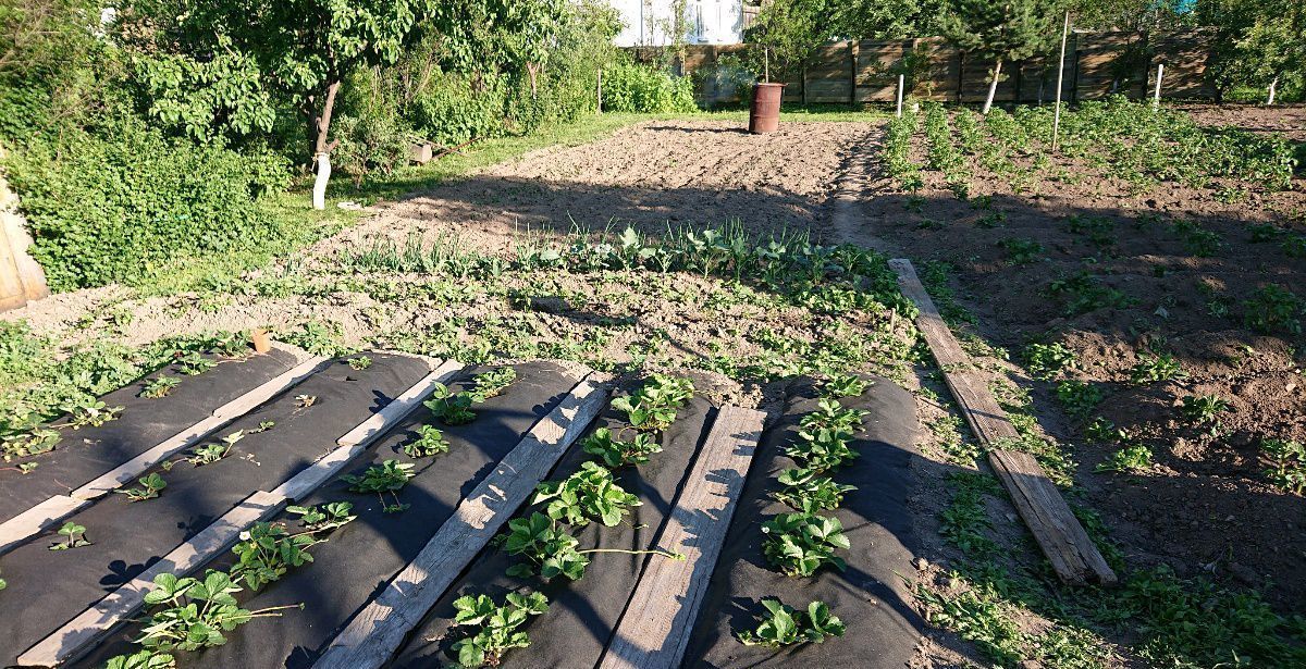 земля р-н Ашинский г Аша ул Кутузова 7 Ашинское городское поселение фото 6