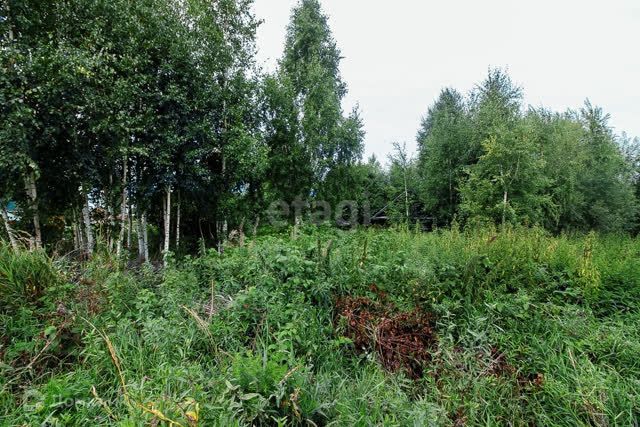 земля г Ханты-Мансийск посёлок СУ-967, городской округ Ханты-Мансийск фото 5