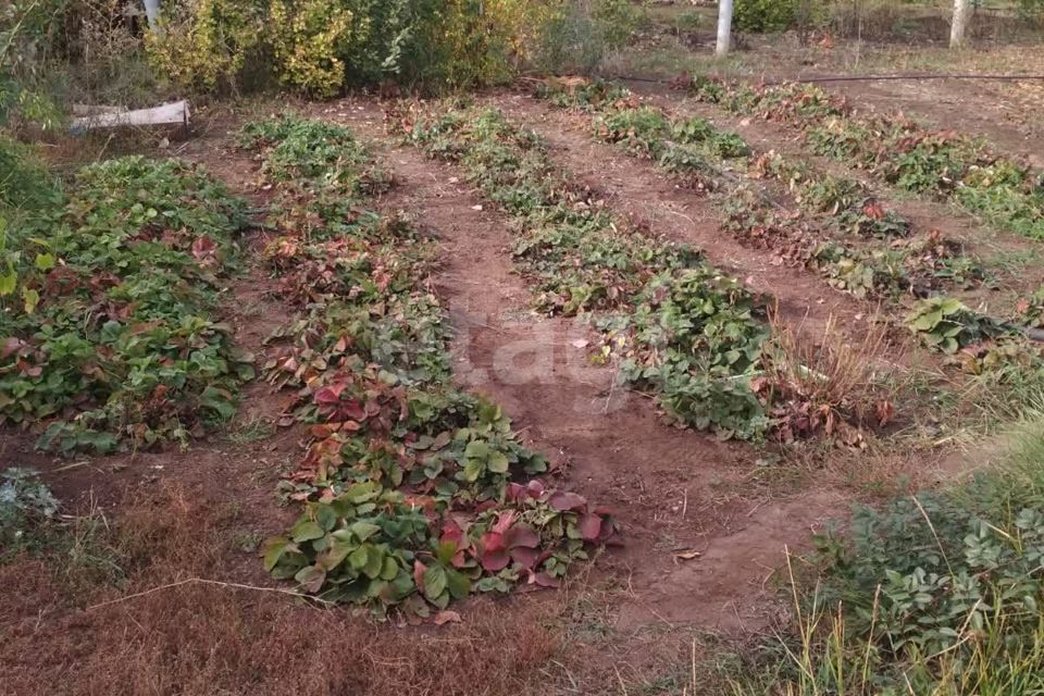 дом городской округ Оренбург, Цветочная улица, СНТ Родник фото 8