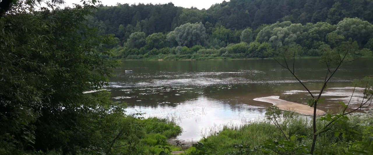 земля р-н Алексинский д Нижнее Ламоново Ламоново на Оке кп фото 2