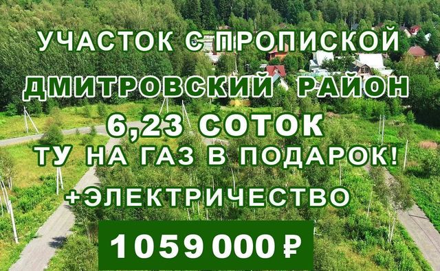 М-8 Холмогоры, 36-й километр, Пушкино фото