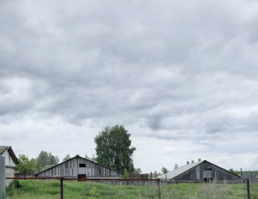 дом г Выкса рп Ближне-Песочное ул Красная 70 городской округ Выкса фото 7