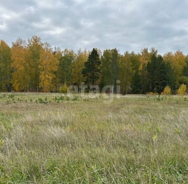 земля городской округ Первоуральск, СНТ Ромашка фото 2