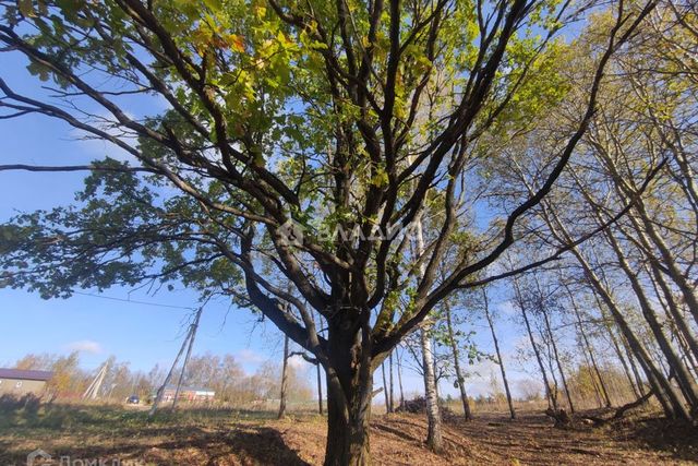 земля ул Хлебодарная городской округ Владимир фото