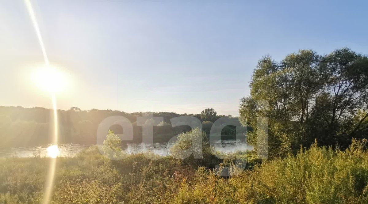 дом р-н Рамонский с Новоживотинное ул Новоселов фото 10