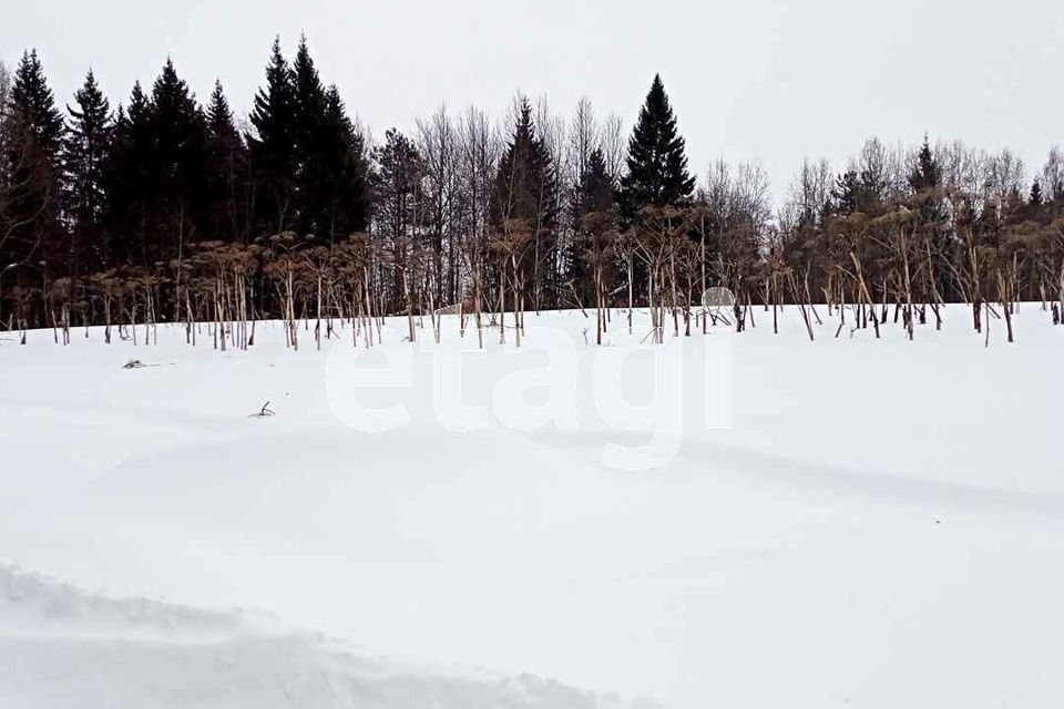 земля г Сыктывкар городской округ Сыктывкар, местечко Давпон фото 5