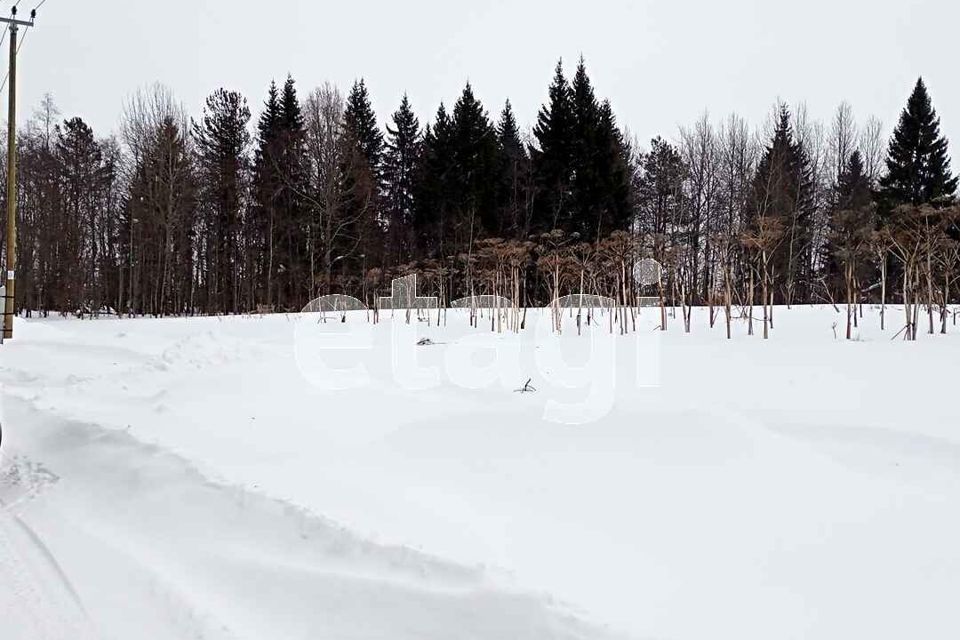 земля г Сыктывкар городской округ Сыктывкар, местечко Давпон фото 6