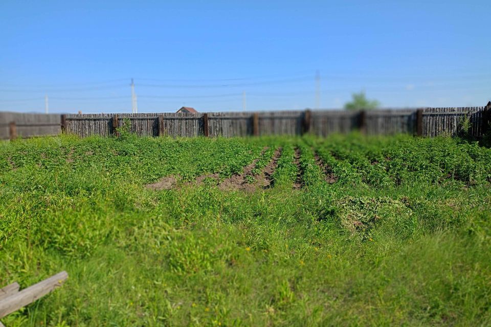 земля г Чита городской округ Чита, дачное некоммерческое товарищество Казачий Хутор фото 2