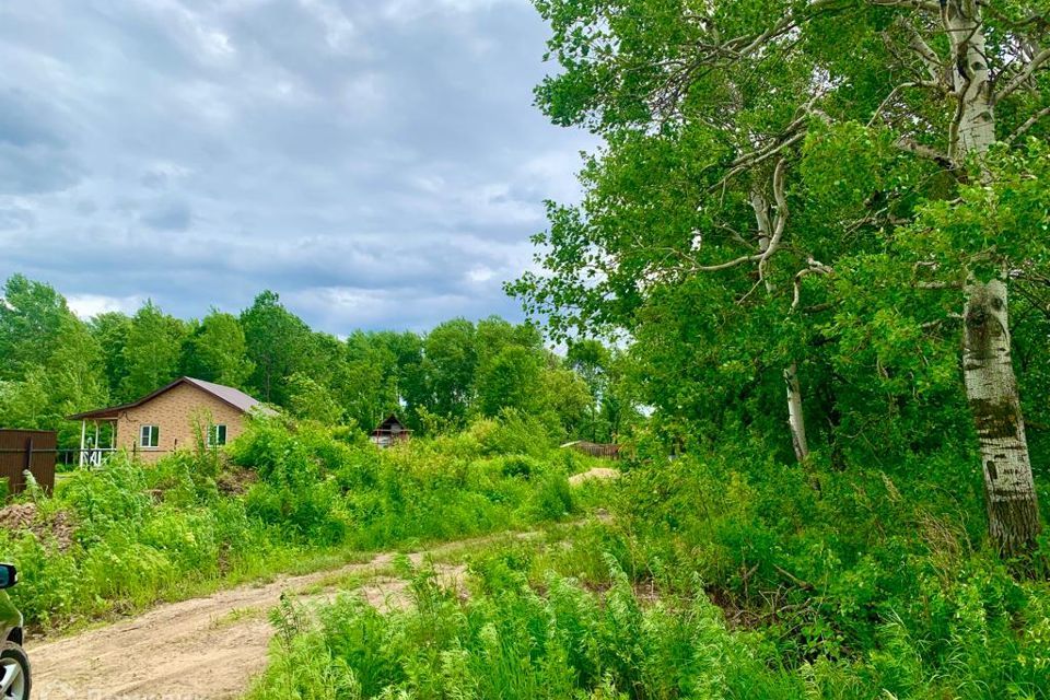 земля р-н Хабаровский с Виноградовка ул Аверьяновская фото 10