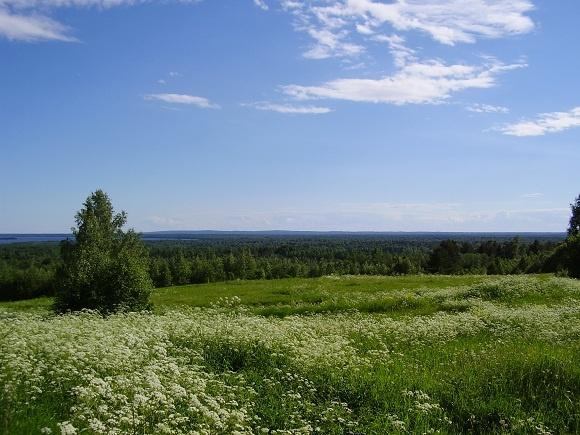 земля деревня Пургино фото