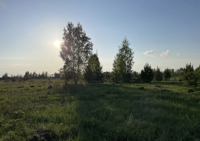 земля Тургиновское сельское поселение, Козлово фото