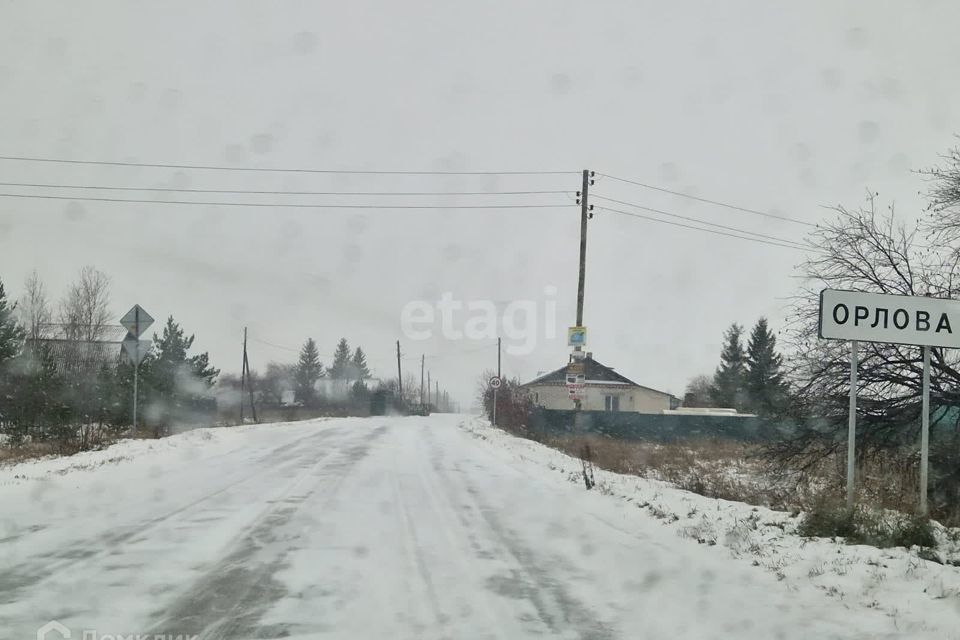 земля р-н Богдановичский деревня Орлова фото 7