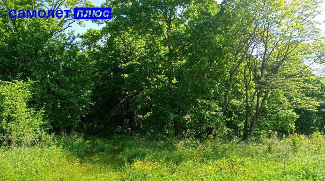 земля г Фокино ул Благодатная фото 10