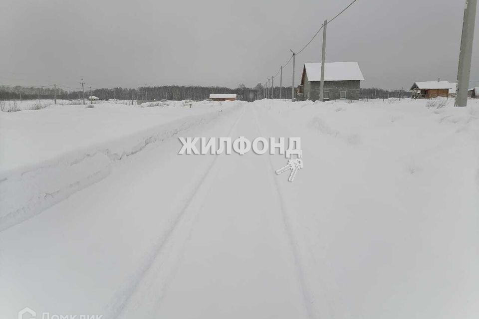 земля р-н Новосибирский село Плотниково фото 2