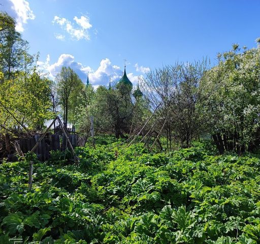 земля ул Советская сельское поселение Некрасовское, Некрасовское фото
