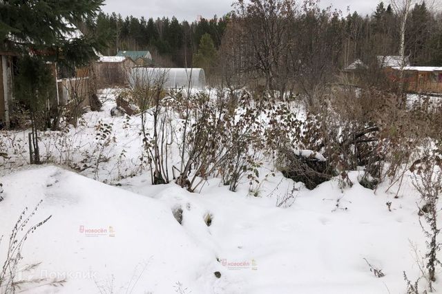 городской округ Верхняя Пышма, СНТ № 111 фото