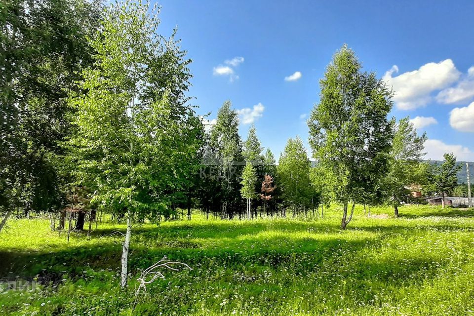 земля городской округ Дивногорск, садоводческое некоммерческое товарищество Ромашка фото 4