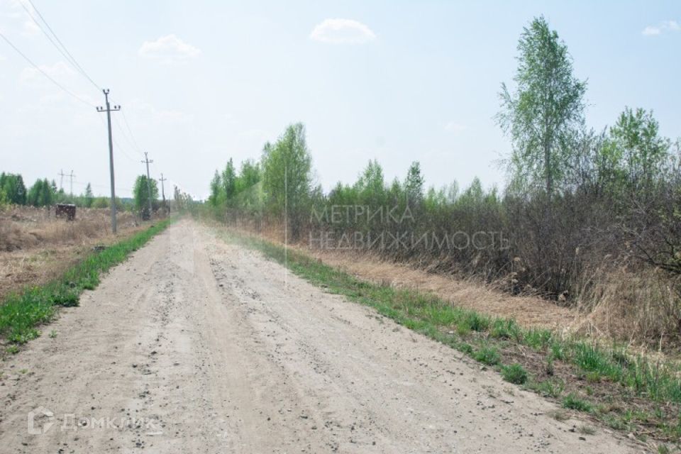 земля г Тюмень городской округ Тюмень, садоводческое некоммерческое товарищество Березняки фото 5
