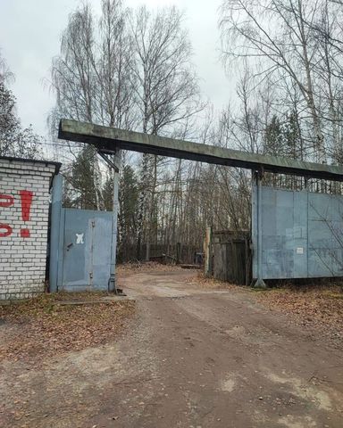 р-н Московский Буревестник квартал Новая Стройка фото