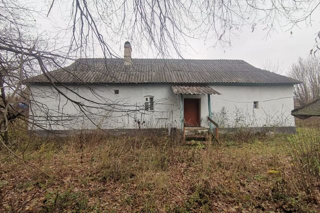 дом деревня Косьяново фото