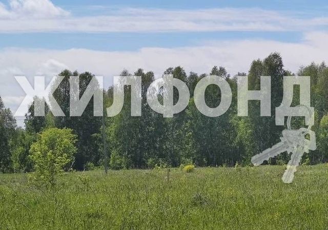 Барышевский сельсовет, ТСН Светлое, Кольцово фото