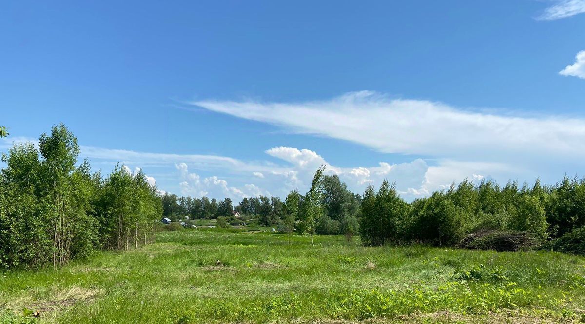 земля г Санкт-Петербург п Тярлево Звездная фото 3