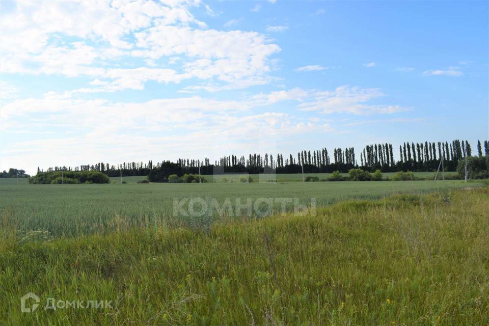 земля р-н Семилукский Губарёвское сельское поселение фото 2
