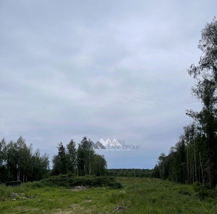 офис городской округ Наро-Фоминский ЗАО Элинар тер., 17 фото 11