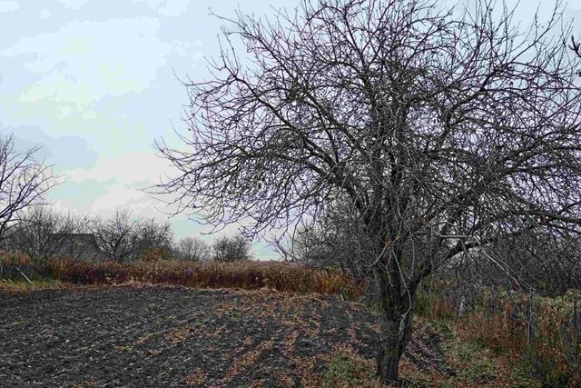 ул Розовая городской округ Брянск фото