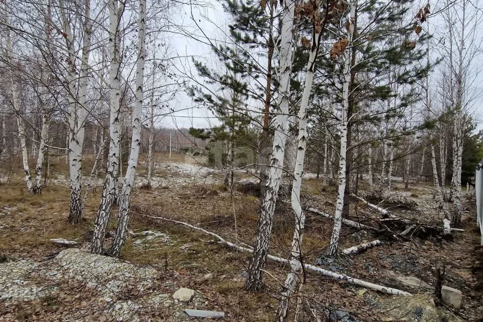 земля р-н Чебаркульский с Травники ул Лесная фото 3