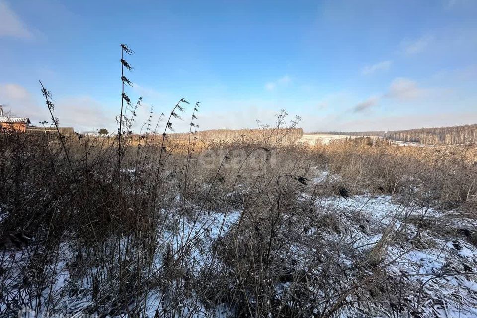 земля р-н Ачинский село Преображенка фото 2