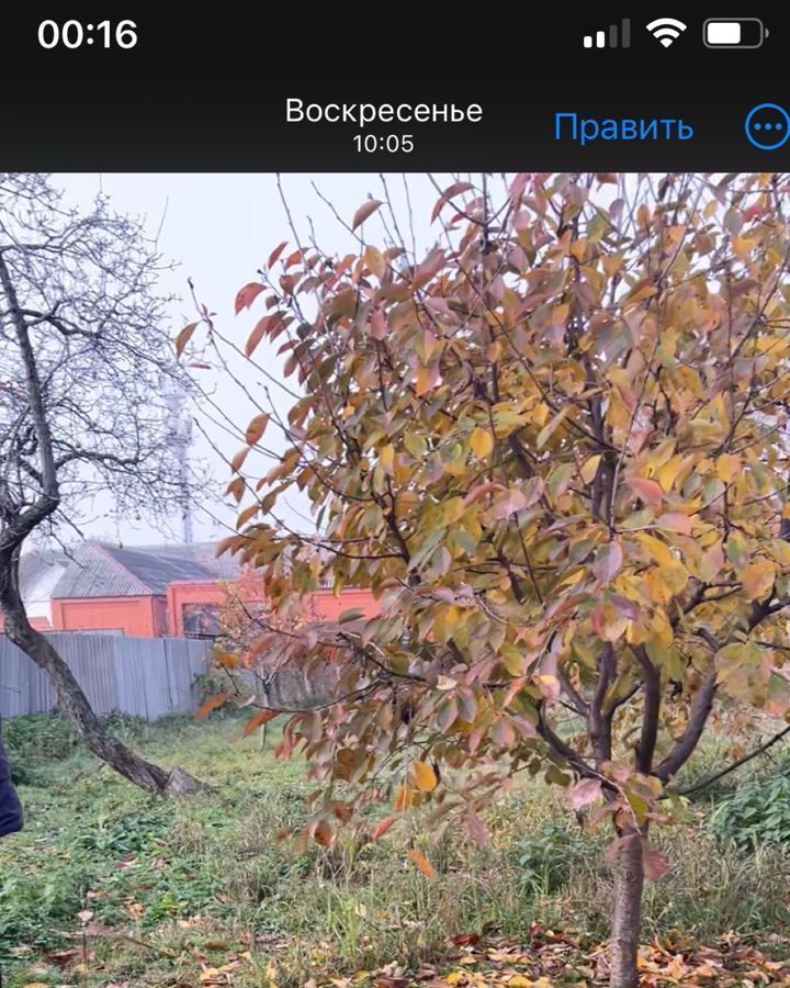 земля р-н Шалинский г Шали ул Фруктовая Шалинское городское поселение фото 1