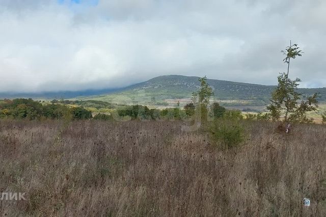 земля с Гончарное ул Варнаутская Балаклавский район, долина фото