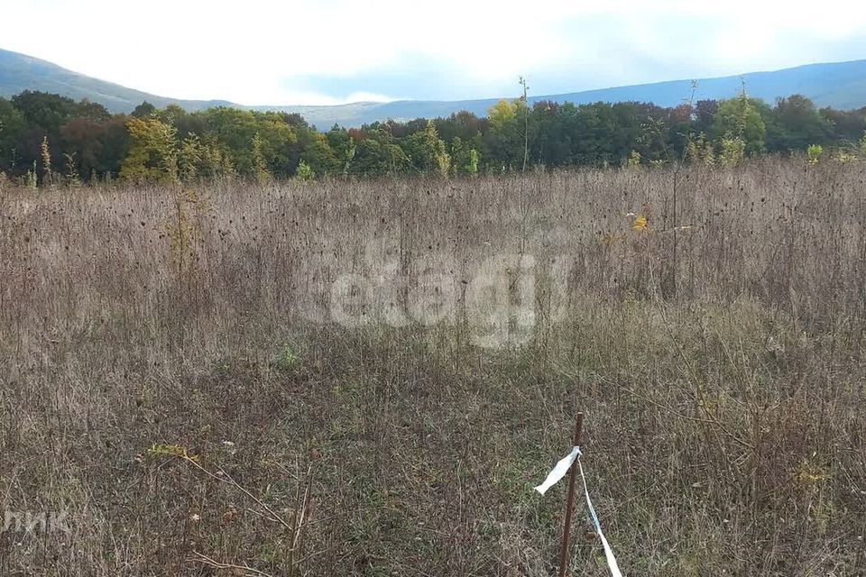 земля г Севастополь с Гончарное ул Варнаутская Балаклавский район, долина фото 4