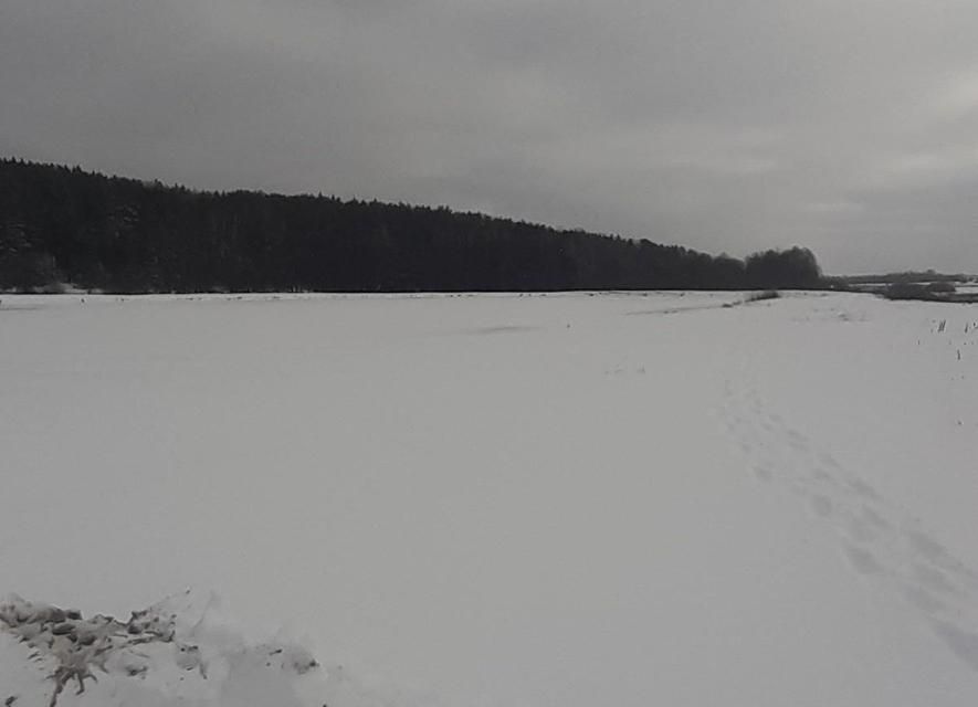 земля р-н Городищенский деревня Луговые Выселки фото 1