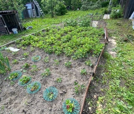 земля городской округ Южно-Сахалинск, СНТ Радуга фото