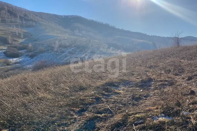 земля ул Енисейская фото