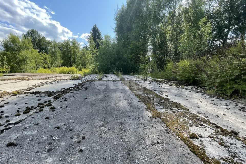 земля г Псков ул Дорожкино 5 городской округ Псков фото 8