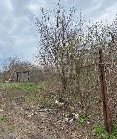 земля п Широчанка садовое товарищество Авиатор фото