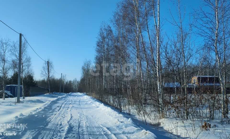 земля р-н Хабаровский село Черная Речка фото 4